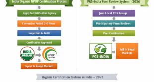 Flowchart showing the India Organic NPOP certification process and PGS-India peer review system for 2026.
