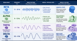 Diagram showing Beta, Alpha, Theta, and Delta brain waves during different stages of sleep and relaxation.