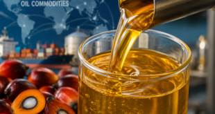 A close-up of a golden palm oil stream flowing into a clear container, representing global vegetable oil commodities trading.