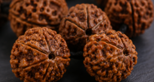 Close-up of authentic Rudraksha beads displaying natural Mukhi lines and texture.