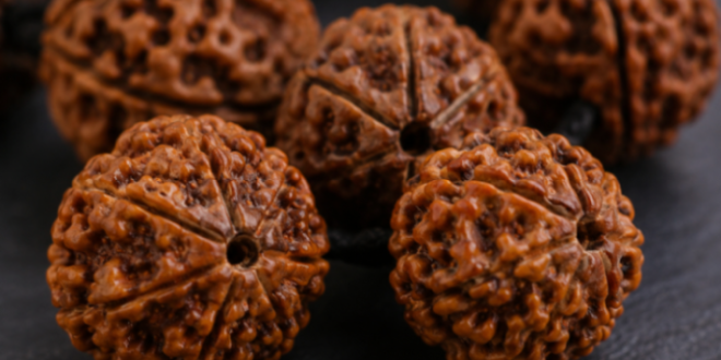 Close-up of authentic Rudraksha beads displaying natural Mukhi lines and texture.