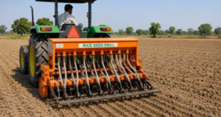 A tractor-mounted seed drill sowing rice seeds directly into a dry field.